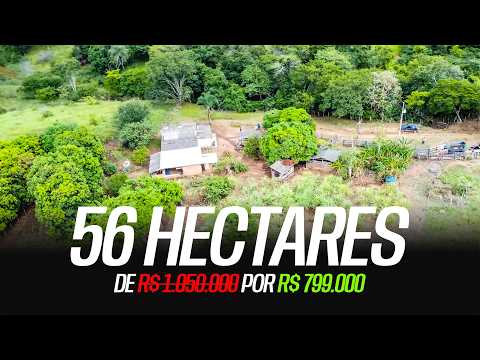 OPORTUNIDADE, 56ha | 10 KM DO ASFALTO E 25 KM DE CABECEIRAS-GO | DE R$ 1.050.000 POR R$ 799.000,00