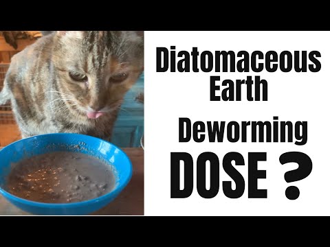 How to Dose Diatomaceous Earth for Deworming Dogs and Cats