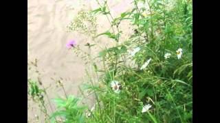 GREGORIAN - THE GIFT