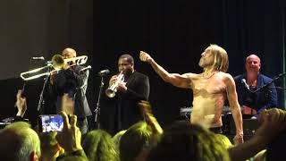 Iggy Pop - Run like a villain - Filadelfiakyrkan, Stockholm 2022.06.10.