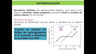Circulación coronaria, renal y cerebral 2021 - Cardiovascular y respiratorio