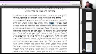 באתי לגני תשכ"ו שיעור 2 עם הרב יחיאל גלוכובסקי (הרב יחיאל גלוכובסקי) - התמונה מוצגת ישירות מתוך אתר האינטרנט יוטיוב. זכויות היוצרים בתמונה שייכות ליוצרה. קישור קרדיט למקור התוכן נמצא בתוך דף הסרטון