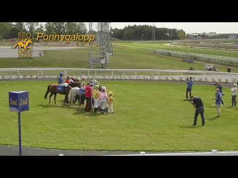 Ponnygalopp från Bro Park 17 Augusti 2019