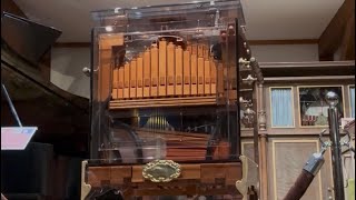 Download lagu Raffin 31/103 Trompetenorgel「Csárdás」 mp3 Download lagu Raffin 31/103 Trompetenorgel「Csárdás」 mp3