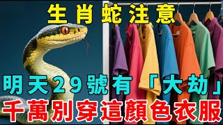 不是迷信！生肖蛇注意，明天10月29日有「死劫」，這天千萬別穿這顏色衣服！【梵心若素】#生肖 #運勢 #風水 #財運 #命理