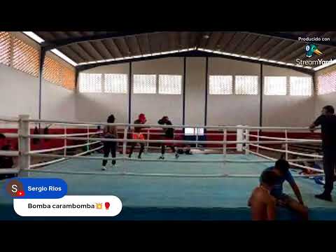 Sesión de sparring