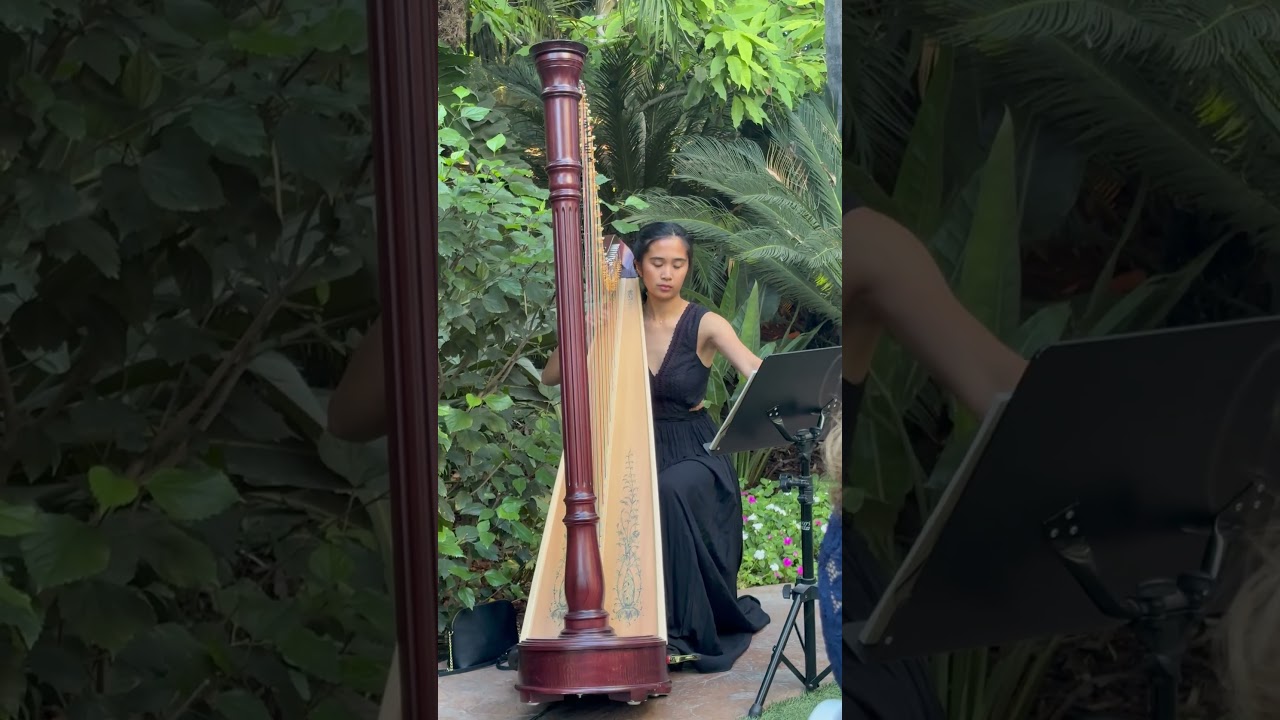 Promotional video thumbnail 1 for Hannah's Harp