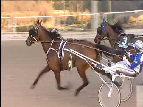 Trotto 08/02/2019 - 4ª corsa