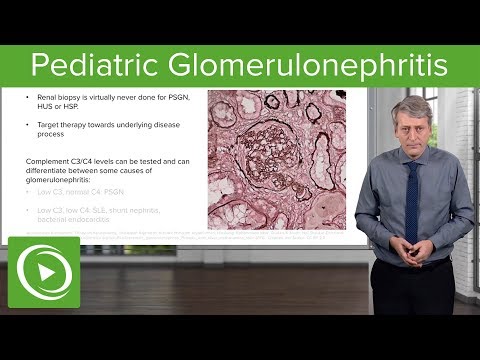 Pediatric Glomerulonephritis – Pediatrics | Lecturio