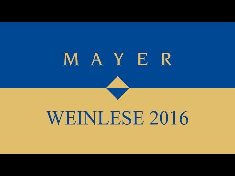 Weinhof Mayer-Weinlese 2016