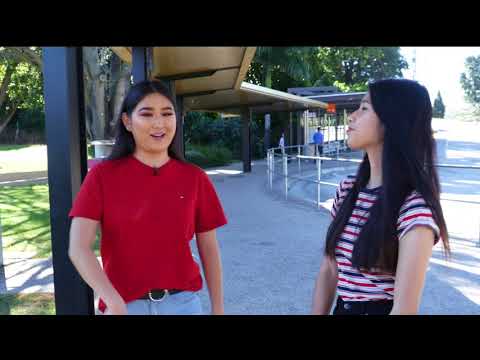 Video 22