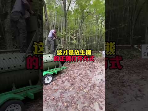 放熊的正確答案#漲知識 #放熊歸山 #動物科普 #動物的迷惑行為