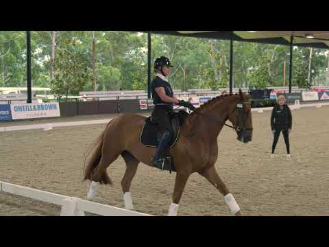 Part 1 of Excellence in Coaching with Rozzie Ryan and Sam Bartlett riding AB Final Romance