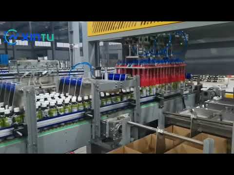 Maximize Your Bottled Beverage Packaging Efficiency with Our Top Load Case Packer!