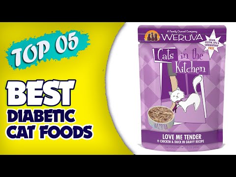 😺 The Best Diabetic Cat Foods - An Useful Products Guide!