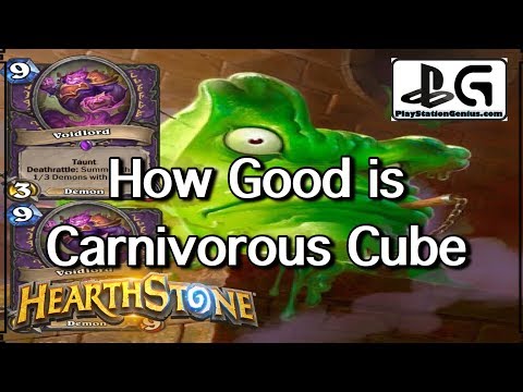 How Good is Carnivorous Cube | Hearthstone Aggro Warlock got REKT | PlayStationGenius Gameplay