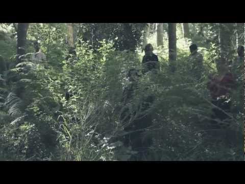 Die Heuwels Fantasties - Wonder Bo Wonder ft. Coenie de Villiers