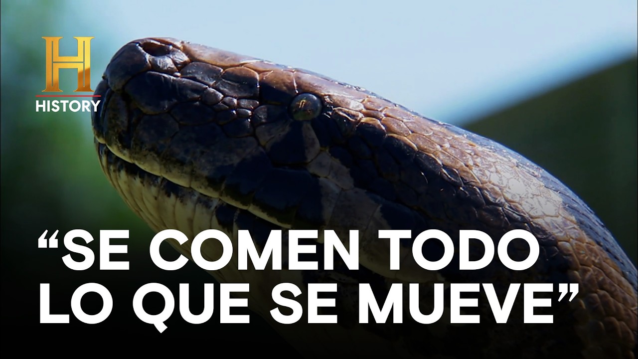 "SE COMEN TODO LO QUE SE MUEVE" - MONSTRUOS LEGENDARIOS