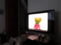 MVI 5488 Sesame Street Episodes