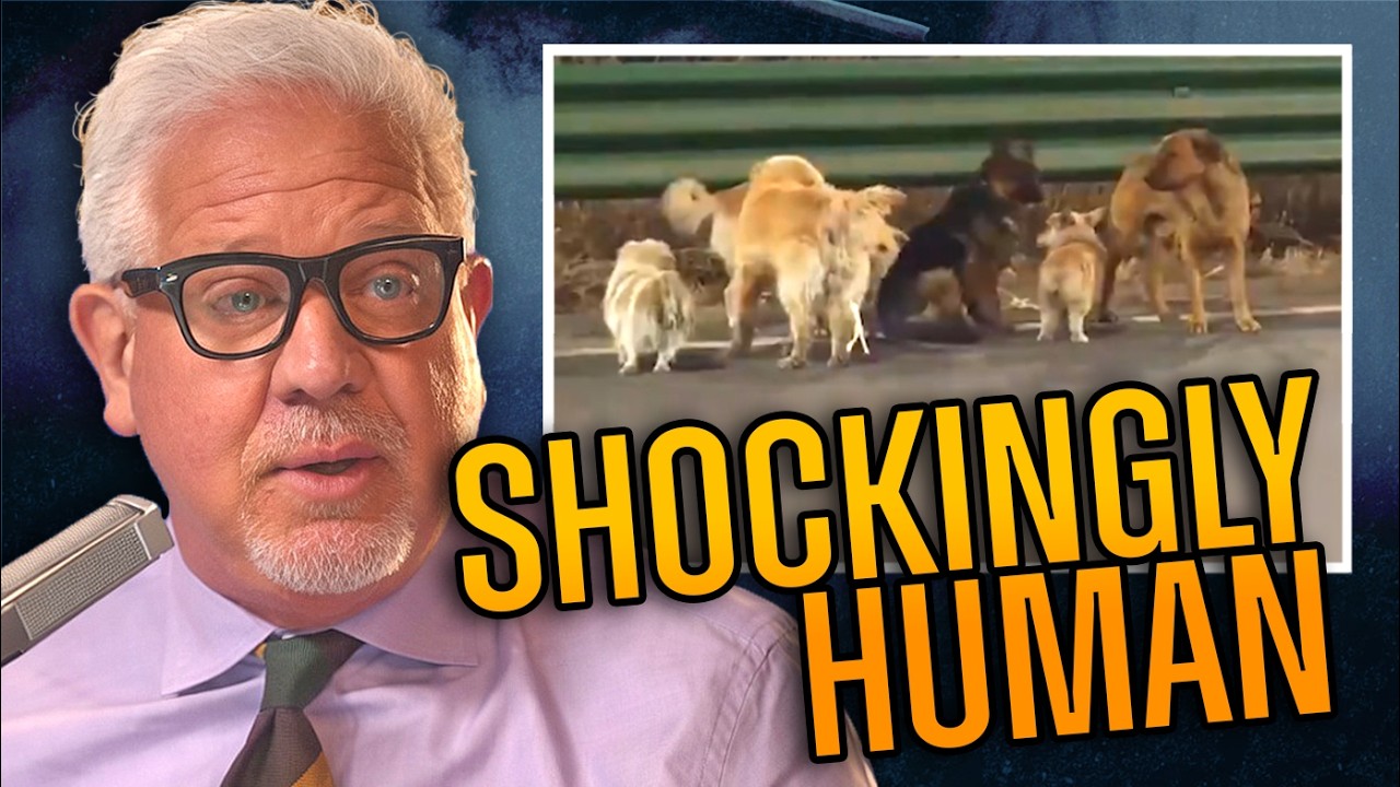 This Viral Dog Video Just Reminded Humanity of Something Crucial