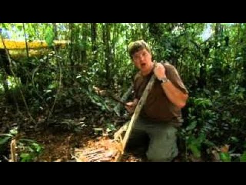 Ray Mears' Extreme Survival S03E03 - Alaska Solomon