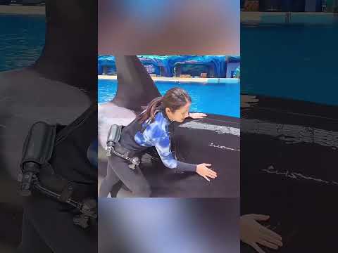 😭🐋 Todos Pensaram que a Orca Tinha Enlouquecido... Mas a Verdade Fez Todos Chorar! 💙✨ #pets