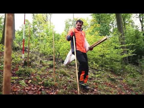 Wuchshülle SG - Vorbereitung