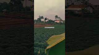 Download lagu Little boy walking in the garden #village #nature mp3