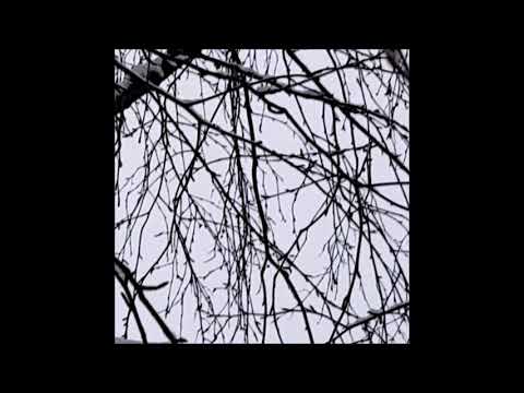 12. biocide - i will take a piece of you when i leave [10.01.2019]