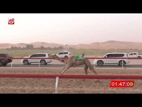 ش 9 (الظبي) لـ حمدان بن حميد الراشدي 4:40 ، مهرجان العين 2026/08/02 حقايق الساد