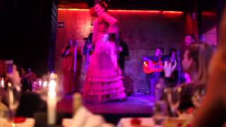 SHKO  Fin de ao 2014