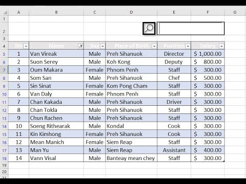 How to Build a Real-Time Data Search Box in Excel with Excel VBA