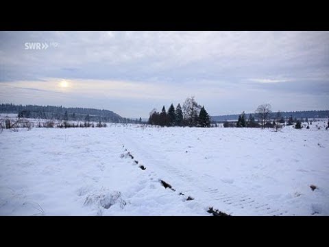 Winter im Hohen Venn - Das weiße Moor  | Fahr mal hin | SWR Fernsehen