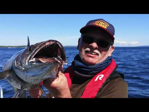 Seehechtangeln am Imarsund.