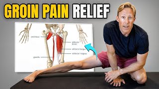 4 Groin Pain Exercises (Adductor Muscle Strains and Tendinopathy)