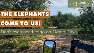 Unbelievable experience with elephant in camp