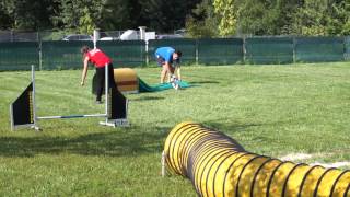 preview picture of video '26/07/2014 Master Vauda Canavese Rita Agility superdebuttanti'