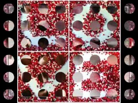 Susret u Beogradu- Djani Salkovic