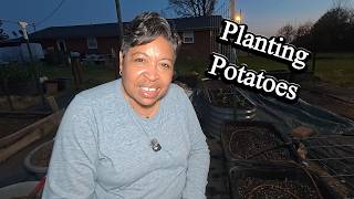 Planting DELICIOUS Potatoes at Home?