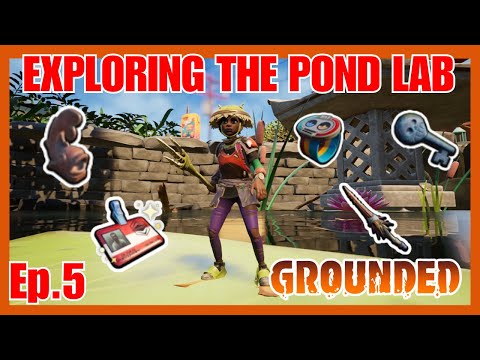 Pond Lab Full Guide - Grounded