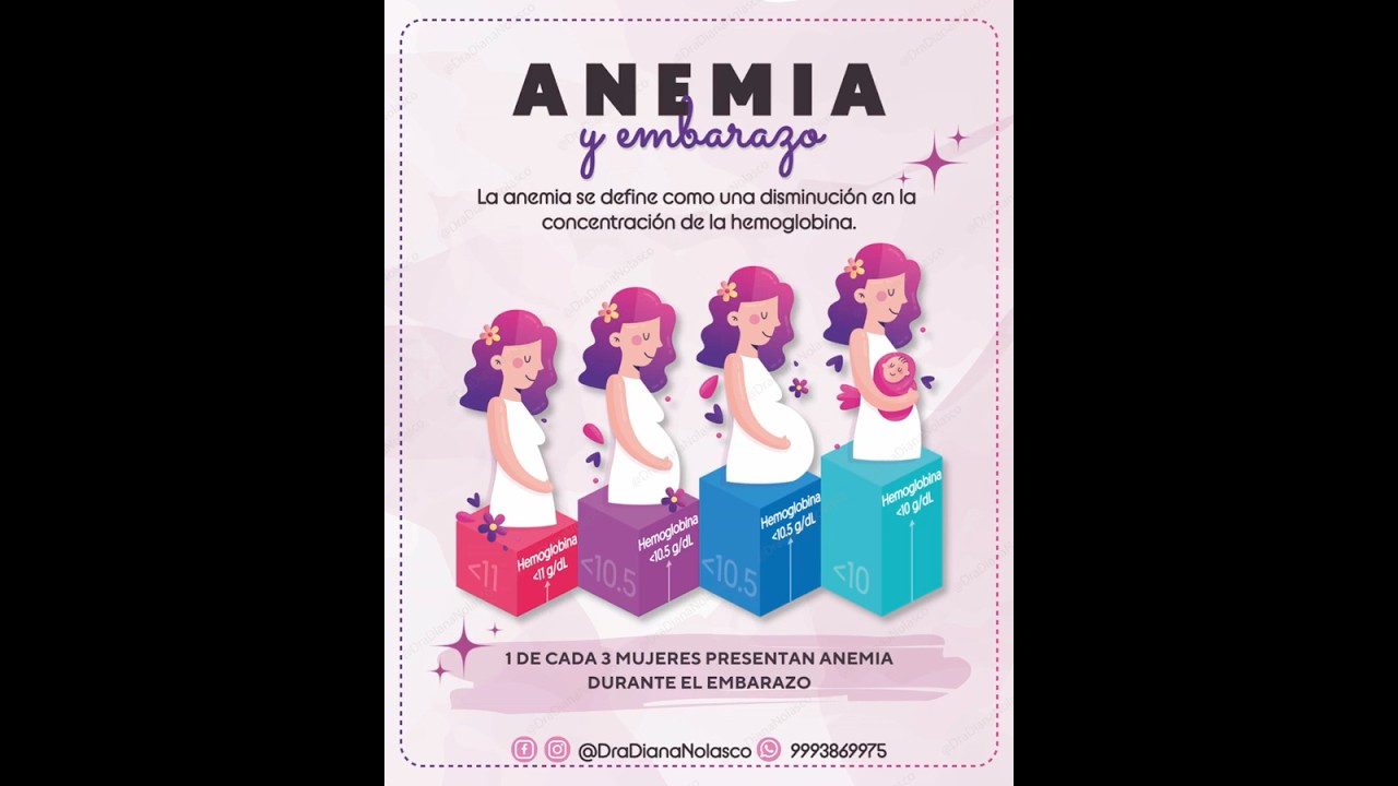 Diana Nolasco Medina-26