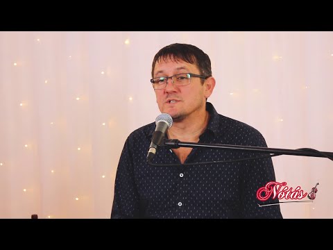 Harnyos Tomi - Bossa mix