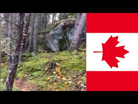 ケベック州の鳥類のリスト - 定義