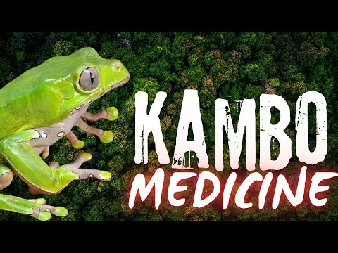 Kambo Frog Medicine: Powerful Detox & Healing From The Amazon - Kambo Ceremony