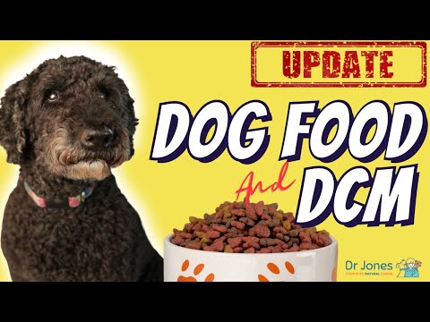 Dog Food and DCM UPDATE
