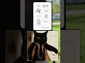 Mr Tuxedo Cat And Bird