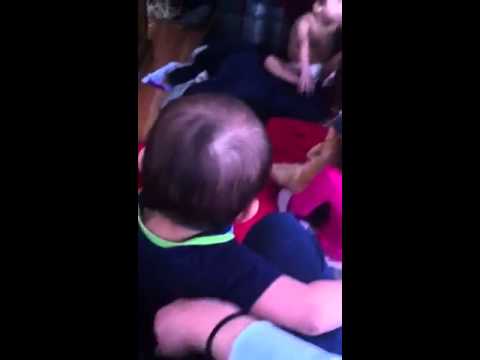 Ailin scared of a cat