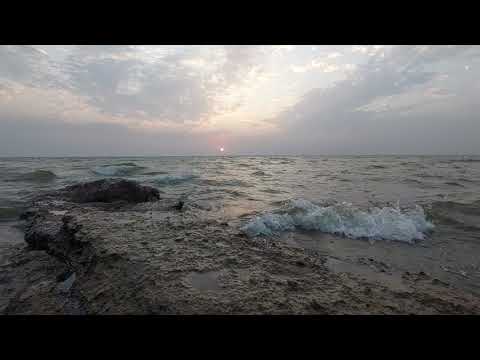 This place gives vibes of Goa #shorts #maharashtratourism #seashore