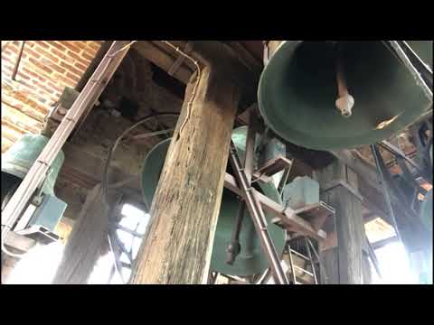 Campane della Collegiata di Carmagnola (TO) - Plenum