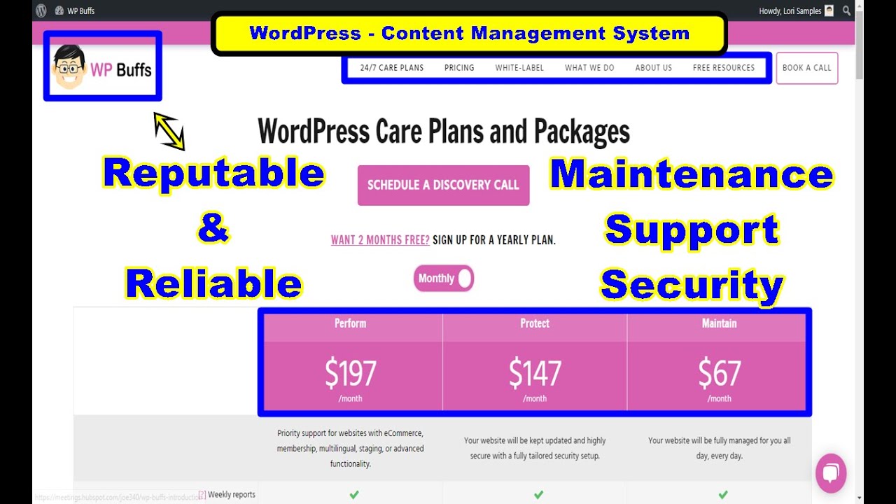 WP Buffs | WordPress Maintenance Plans and Support Service